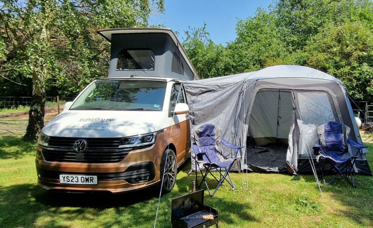 VW Campervan (White/Copper Bronze) – Camper VW (2023) 4/6 posti letto