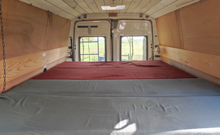 Robust Iveco daily | 5 seats | 3 sleeping places