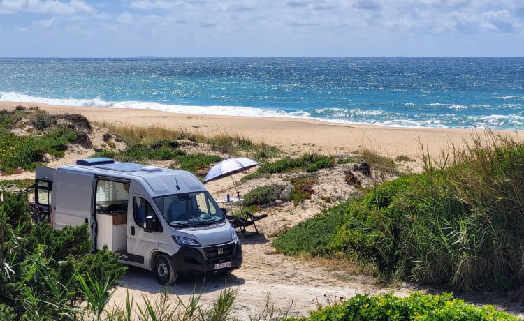 Birdie – our tiny house on wheels from 2024 - 2 p.  