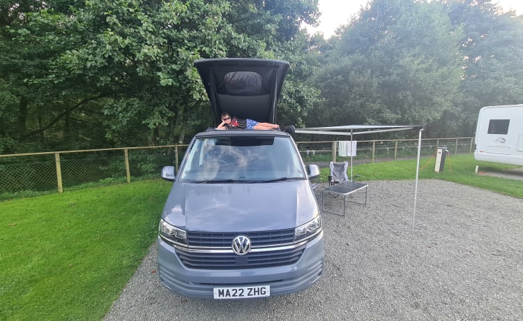 reggie – VW Transporter