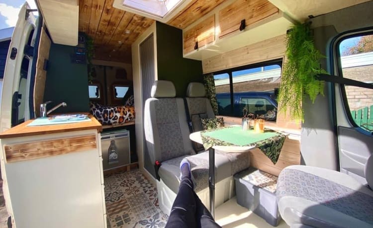 Home is where we park it! – Cool, fresh, self-sufficient 4 person bus camper.