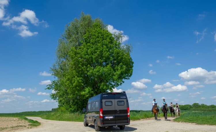 The Black Pearl – Camping-car "VANTourer 630L"