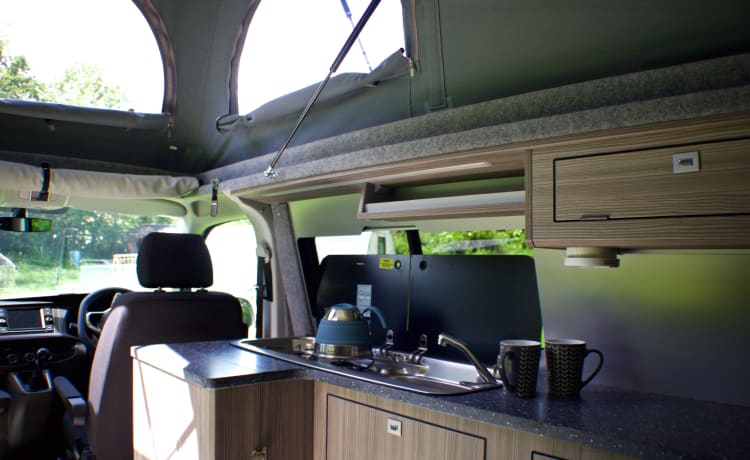 Colin – 2022 VW T6.1 Camping-car. 4 couchettes. Chiens autorisés