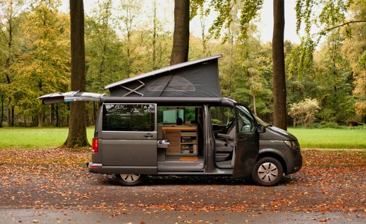 Desmond – VW California coast campervan (6.1) 2022