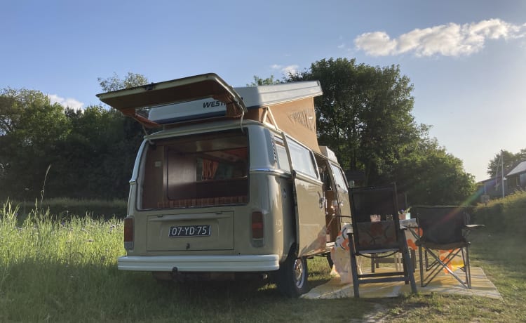 HIPPIECAMP – Camper Volkswagen retrò con 4 posti letto
