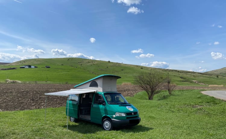 The Green One – Camper Adventures Roemenië