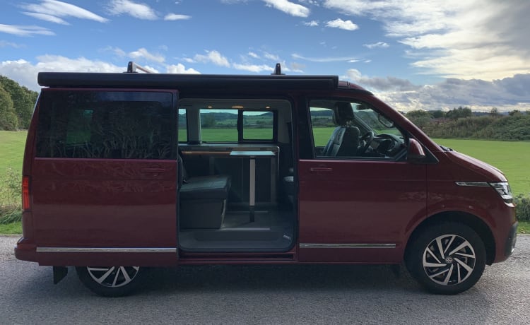 Strawberry – Nieuwe VW California Ocean T6.1 DSG 2.0 TDI Automaat met rijhulp