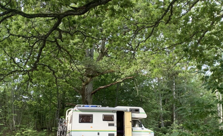 Camping-car familial spacieux et soigné des années 1980 - bien entretenu