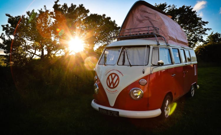 Barbarella – 4-persoons Volkswagen campervan uit 1967