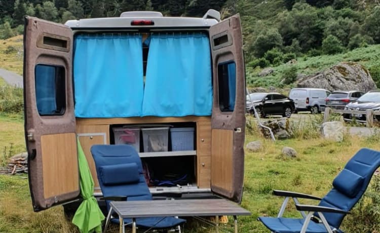 Cozy, very complete bus camper