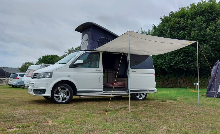 Transporter-Saurus-Rex – Transporter-Saurus-Rex... een 4 persoons Volkswagen campervan uit 2010