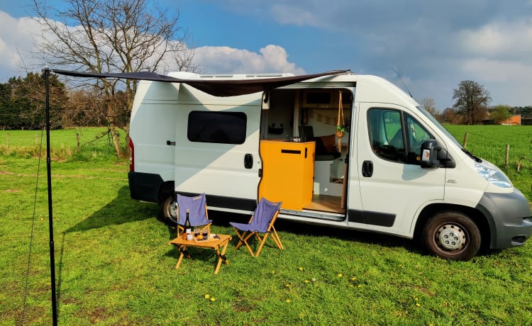 Groot – 🚐 Völlig netzunabhängig und mit allem Luxus ausgestattet! 🏕️