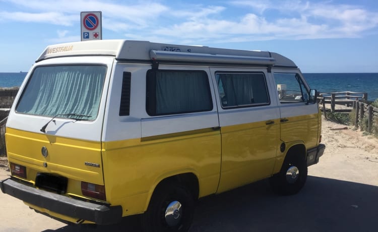 Vintage in vrijheid - T3 Westfalia