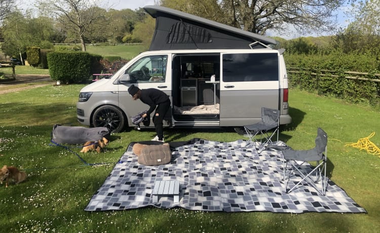 Ivy – Haustierfreundlicher VW-Wohnmobil – MK179HD Milton Keynes