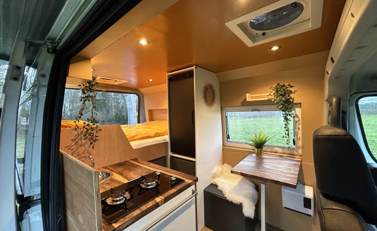 Roadturtle – Bus camper Peugeot for the ultimate holiday