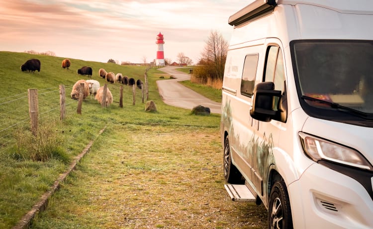 Traveler – Voll ausgestatteter Knaus Boxstar Kastenwagen 