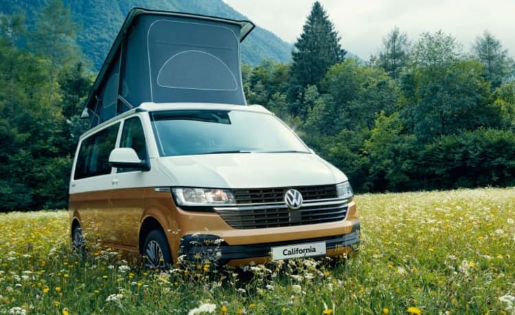 VW California automatic, full option, 2021 with surfboard holder