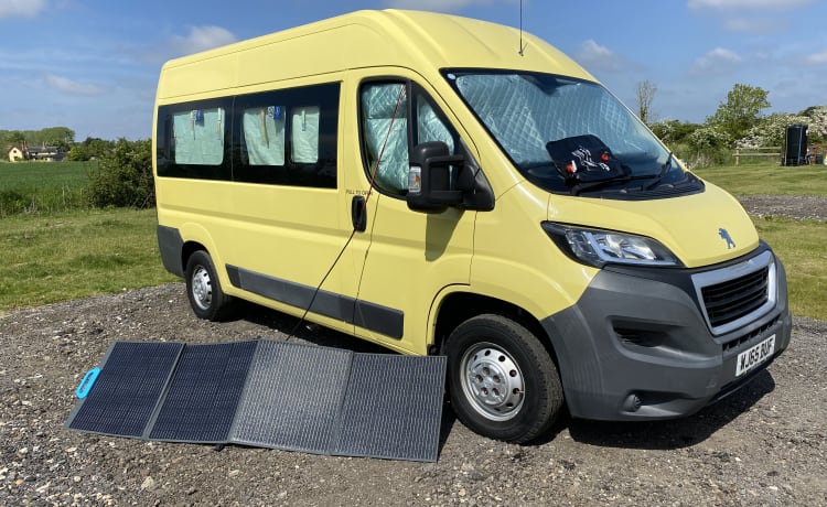 Vincent – un comodo camper Renault giallo con 2 posti letto del 2015