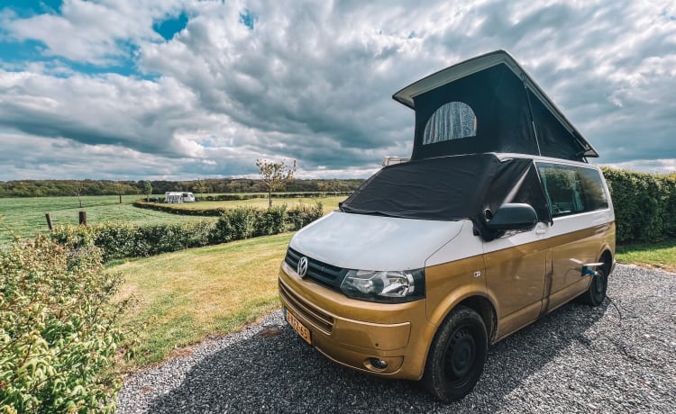 Billie – Le camping-car Volkswagen T5 pour 4p, avec transmission automatique et climatisation