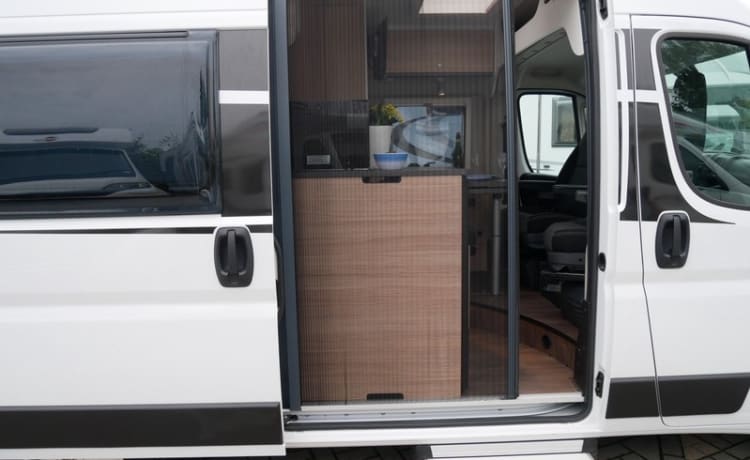 Camper bus Sunlight del 2021