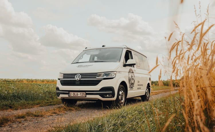 4p Volkswagen campervan uit 2023