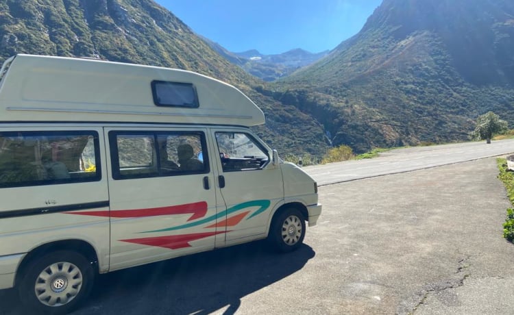 Volkwagen T4 California Hoogdak - Zelanda