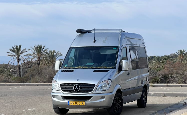 Dora – Campervan Valencia NL