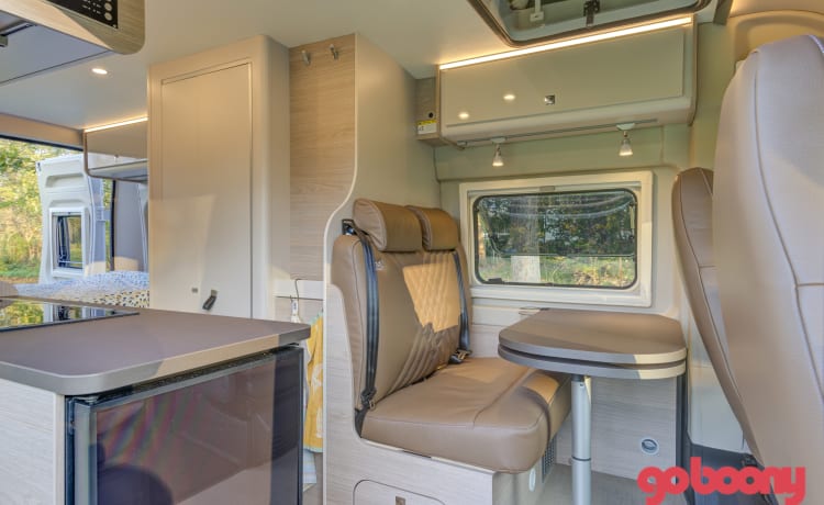 Den Burt – Camper autobus Burstner 4pers nuovo di zecca