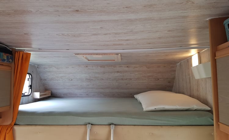 5p Fiat Alcove - schöner Familiencamper