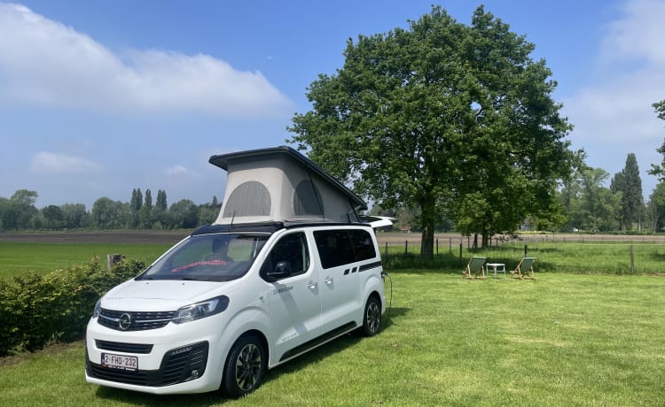 4p Dethleffs campervan uit 2023