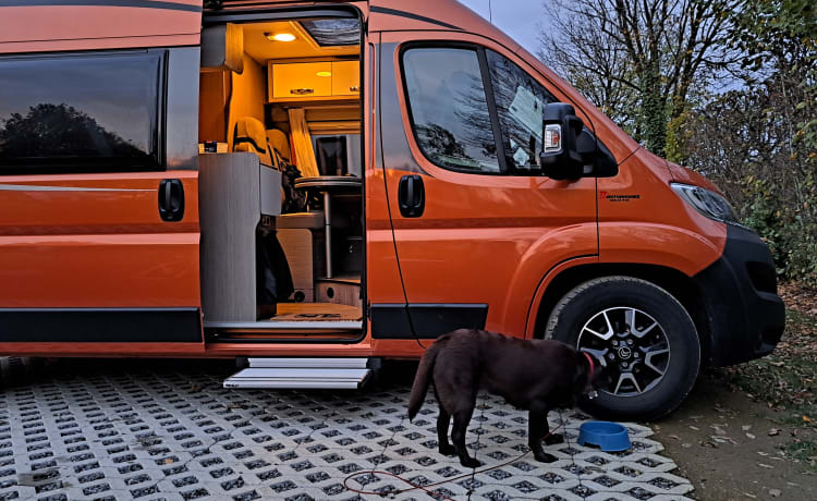 Oranje Puzzel – 2p Pössl bus uit 2019