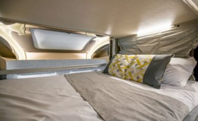 Riding Roamer – Auto Trail F74 - 4 veiligheidsgordels voor 4 - 6 personen - perfect voor een roadtrip