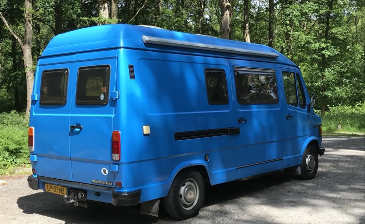 Lynz – Vrolijke kampeerbus Westfalia