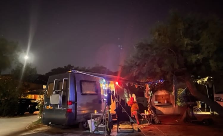 Safari – Bus compatto camper Safari (incl. assicurazione contro tutti i rischi a € 23,60 al giorno)