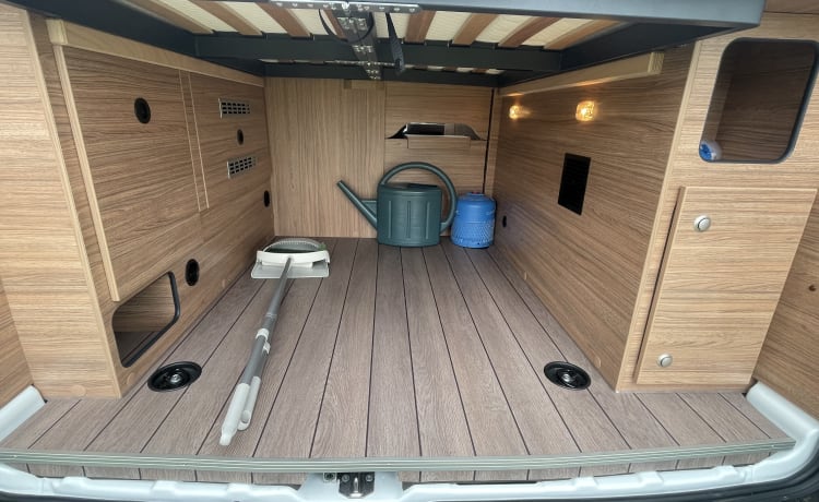 Nieuwe Ford Campervan 