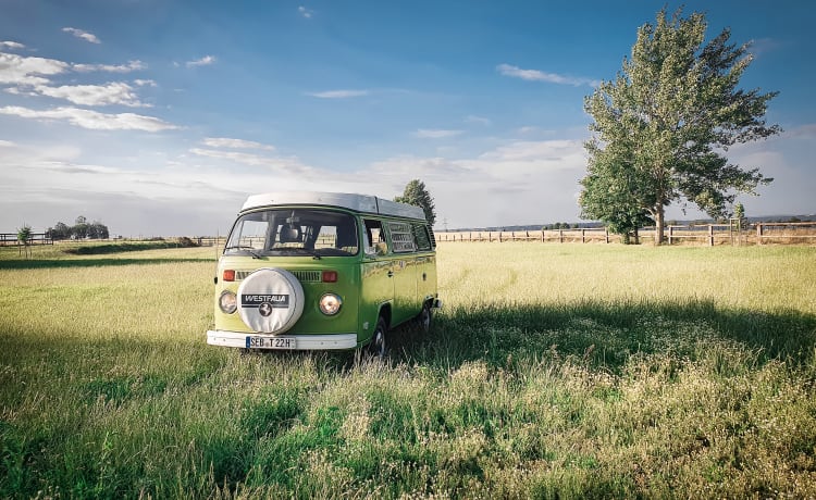 Honu Lohi – RAD-Rent a Dream - VW T2 Westfalia "Berlin" - Rent your retro dream