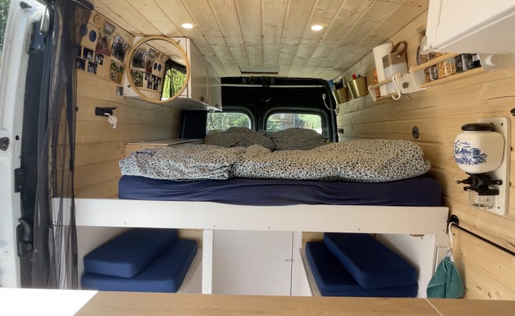 Ole – Lovingly converted camper