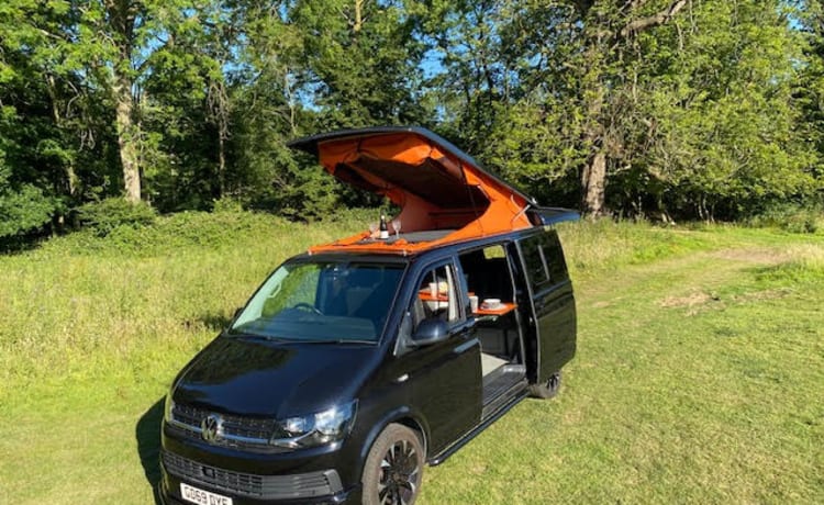 Trevor – VW camper