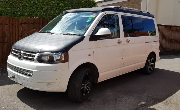 Elvis – VW T5 befindet sich in West Country