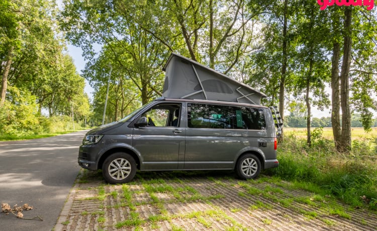 Bas – 4p Volkswagen VW6 California Ocean 2018