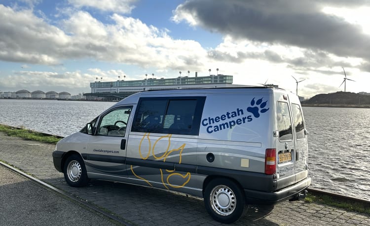 Cheetah – Cheetah 2 person Fiat Scudo bus camper