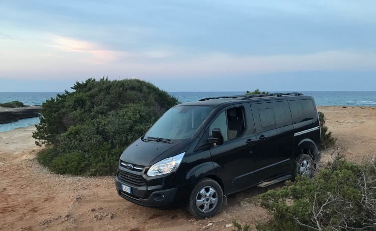 Furgo – Ford Tourneo Custom Van - 2 posti