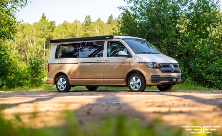 Volkswagen campervan tot 4 personen - Nieuw!