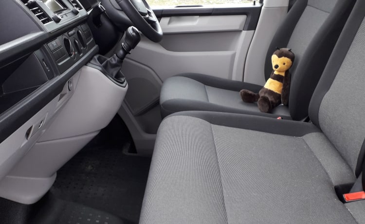 HONEYBEE – PET-FRIENDLY VW T6 WITH YELLOW INTERIOR