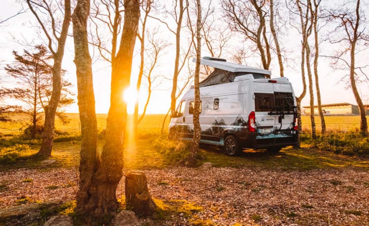 Traveler – Voll ausgestatteter Knaus Boxstar Kastenwagen 