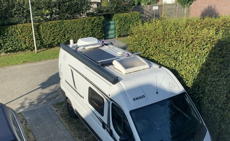 Komfortabler Knaus Boxstar Street 600 (2+1 Bett)