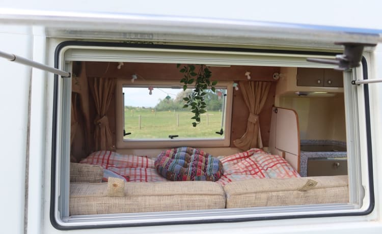 2 berth Peugeot integrated from 2012