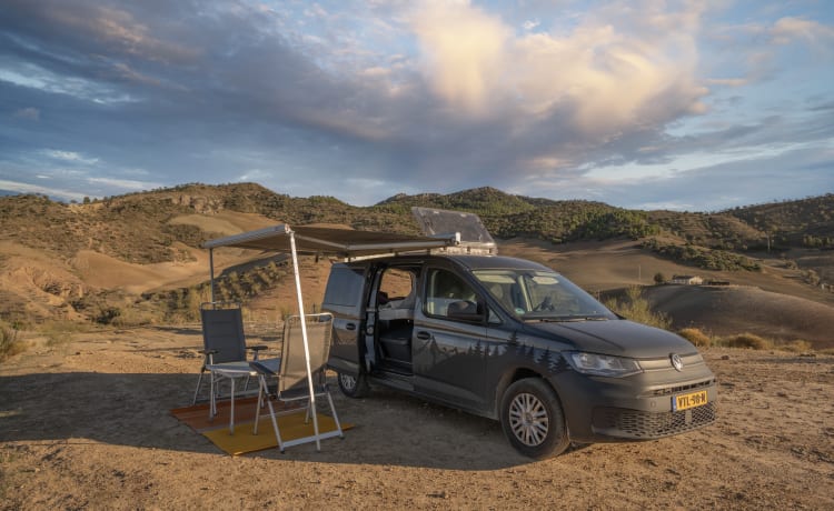 Lizzie – Autobus Volkswagen 2p à partir de 2024