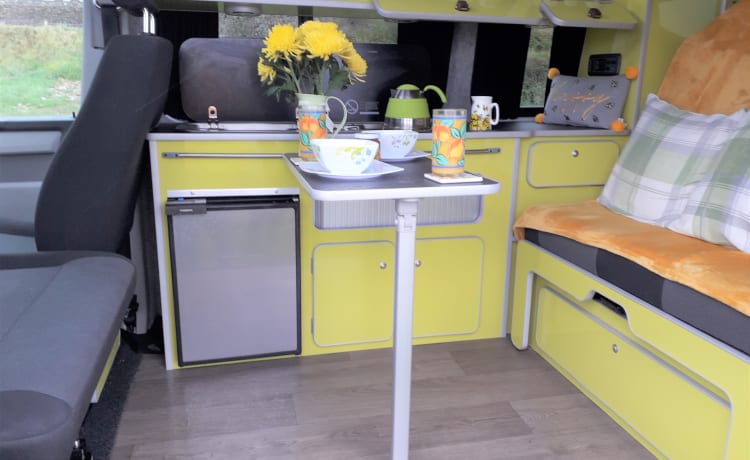 HONEYBEE – VW T6 ADAPTÉ AUX ANIMAUX AVEC INTÉRIEUR JAUNE