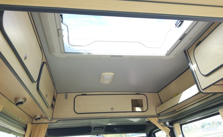 Lady – Comfortable, cheerfully pimpered, light Safari bus camper